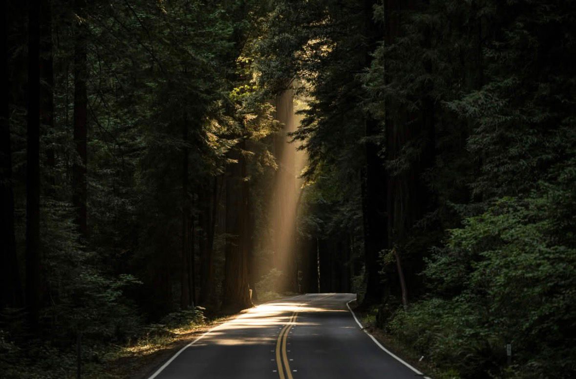 Southern Splendor Trail