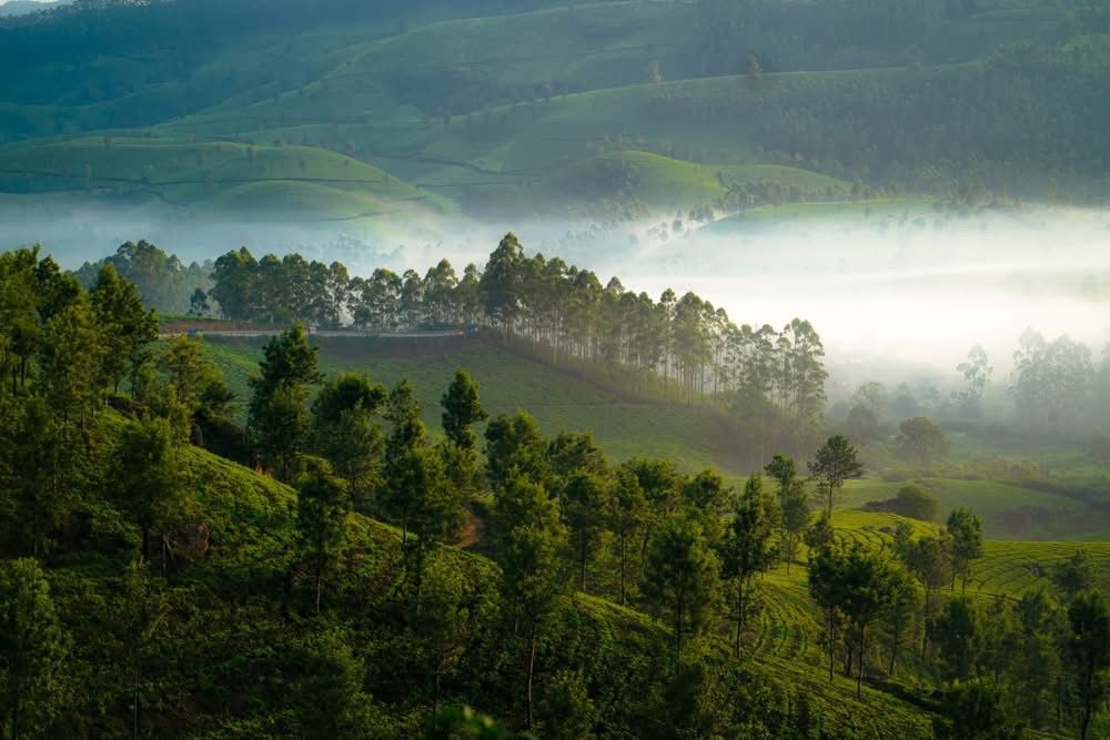 Wayanad